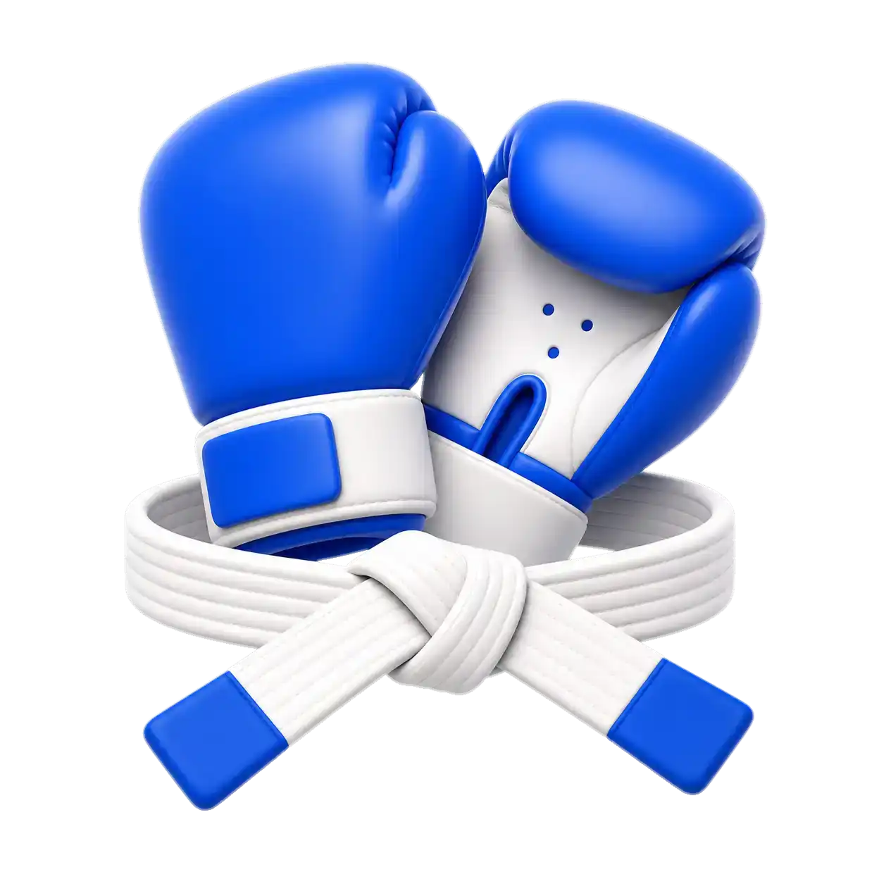 Combat & Martial Arts